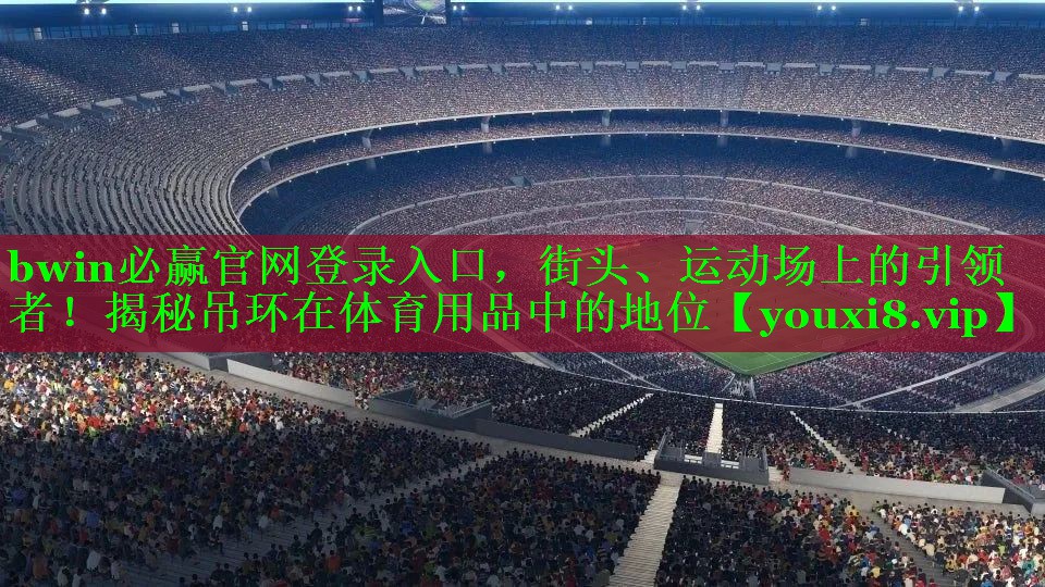 bwin必赢官网登录入口，街头、运动场上的引领者！揭秘吊环在体育用品中的地位