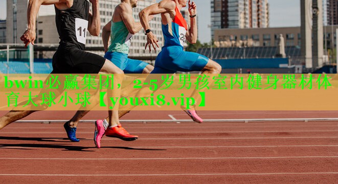 bwin必赢集团，2-5岁男孩室内健身器材体育大球小球