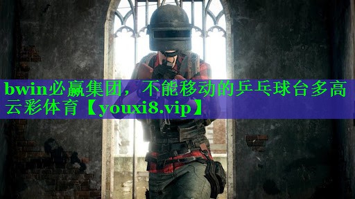 bwin必赢集团，不能移动的乒乓球台多高云彩体育