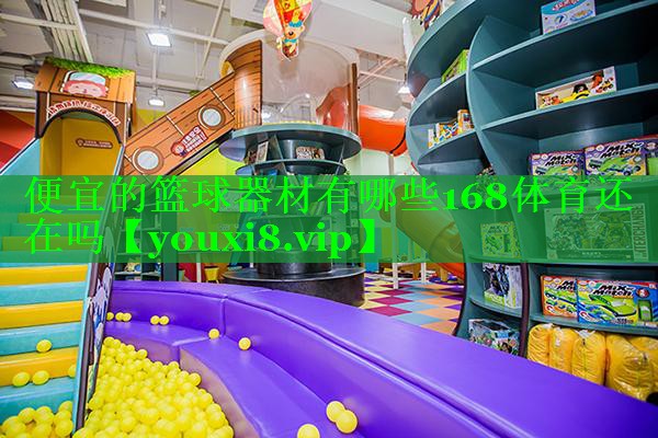 便宜的篮球器材有哪些168体育还在吗