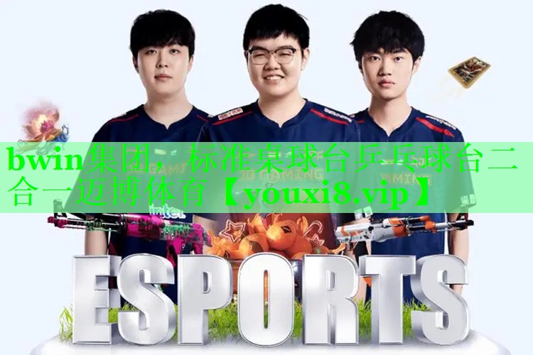 bwin集团，标准桌球台乒乓球台二合一迈博体育
