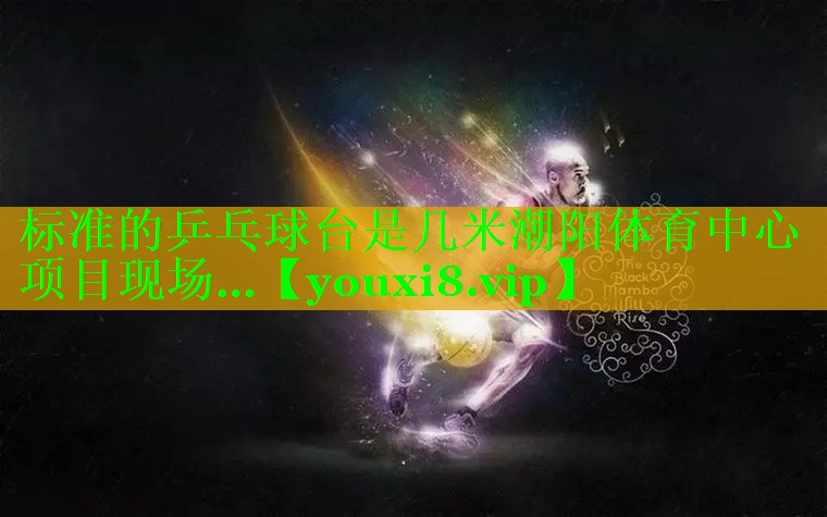标准的乒乓球台是几米潮阳体育中心项目现场…