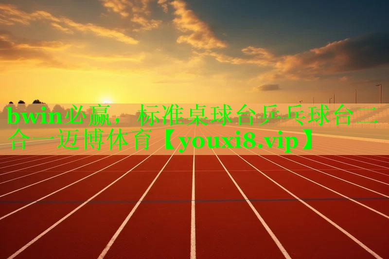 bwin必赢，标准桌球台乒乓球台二合一迈博体育