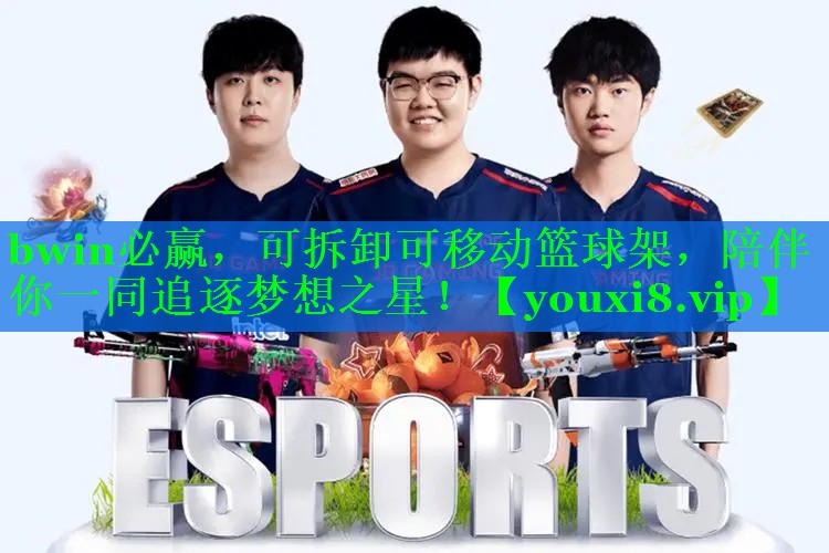 bwin必赢，可拆卸可移动篮球架，陪伴你一同追逐梦想之星！