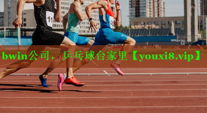 乒乓球台家里